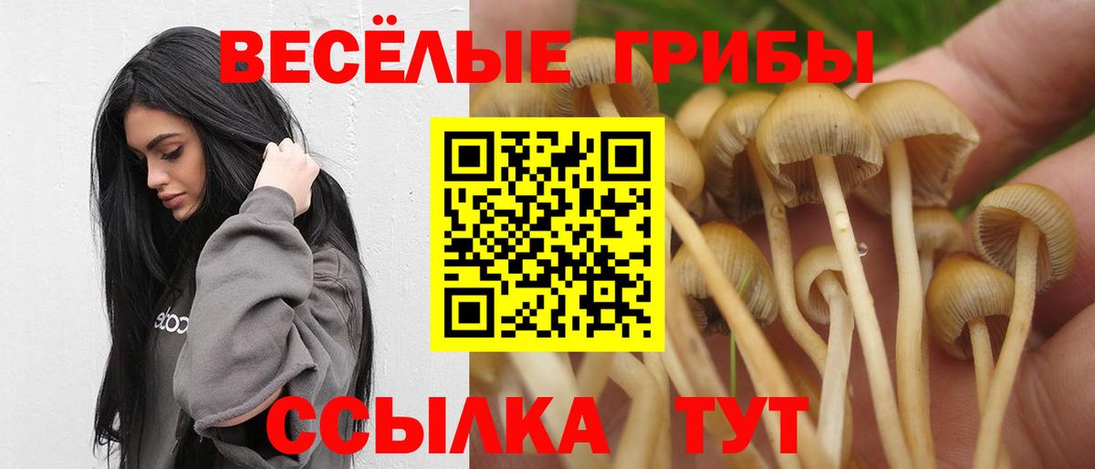 Псилоцибиновые грибы GOLDEN TEACHER Избербаш