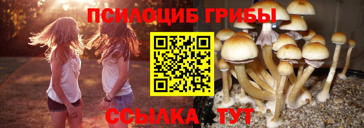 LSD-25 Избербаш